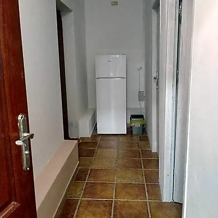 Hostel Lemon Tree *