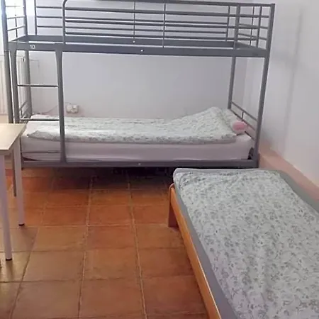 Hostel Lemon Tree