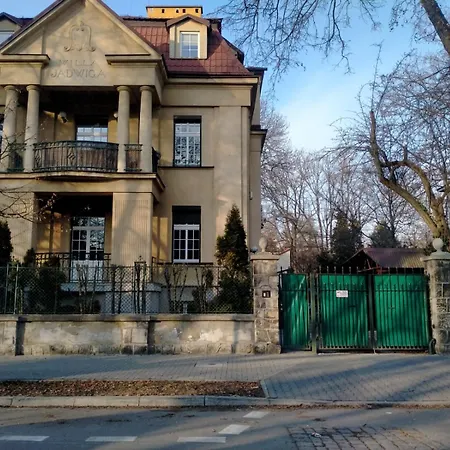 Lemon Tree Auberge de jeunesse