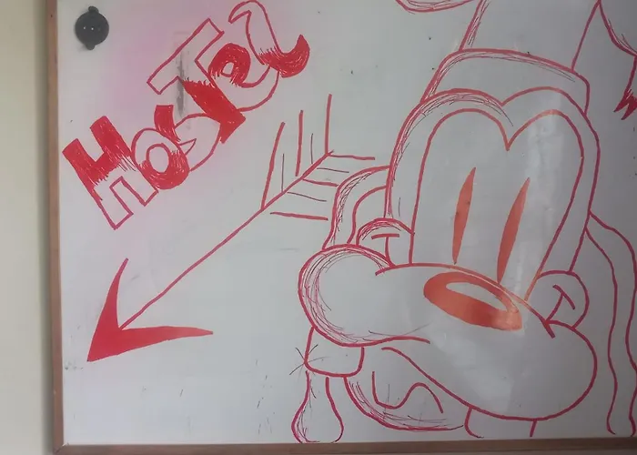 Auberge de jeunesse Lemon Tree Cracovie