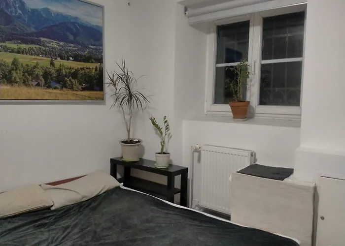 بيت شباب Lemon Tree *