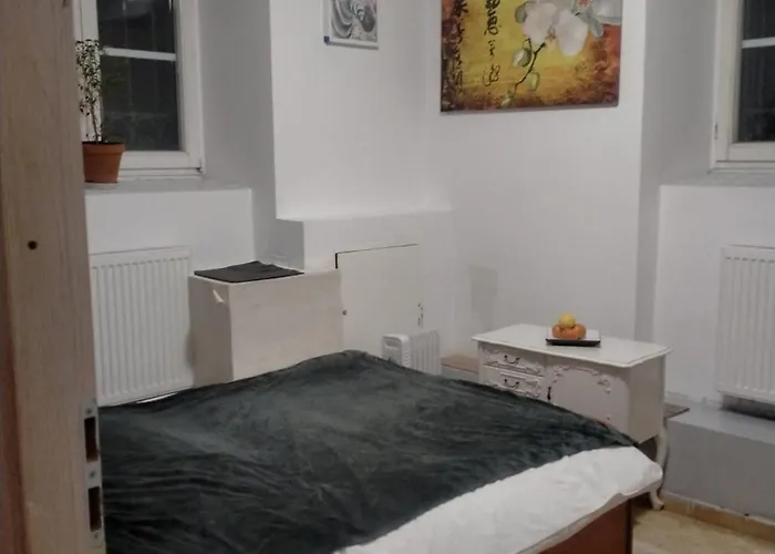 بيت شباب Lemon Tree كراكوفيا