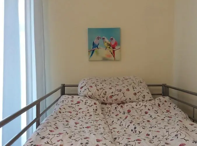 Lemon Tree كراكوفيا